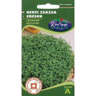 Zsázsa Rédei  - 2g