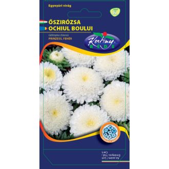 Őszirózsa Princess Virágú Fehér Rédei  - 1g