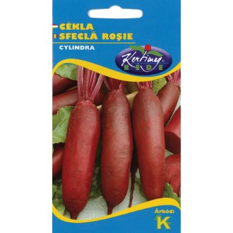 Cékla Cylindra Rédei - 50g