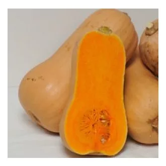 Sütőtök Hannah F1 Enza - 250 szem