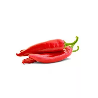 Paprika Bolero F1 Fűszer Édes ZKI - 1000 szem