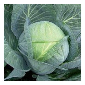 Fejeskáposzta Ambrosia F1 Seminis - 2500 szem