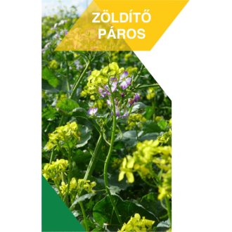 Zöldtrágya Keverék Zöldítő Páros - 25kg