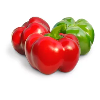 Paprika Temes (09032) F1 Pritamin ZKI - 1000 szem