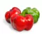 Paprika Temes (09032) F1 Pritamin ZKI - 1000 szem