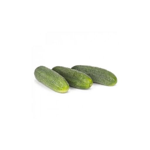 Uborka Dirigent F1 RZ - 250 szem