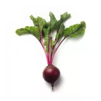 Cékla Zeppo F1 RZ (2,75-3,5 mm) - 50.000 szem