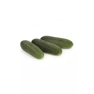 Uborka Mohikán F1 Rédei - 25g