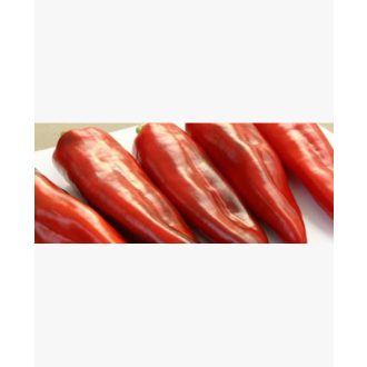 Paprika Melitta F1 Orosco - 500 szem