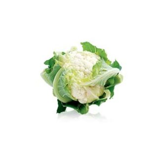 Karfiol SX All Seasons AlfaL. - 1000 szem
