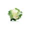 Karfiol SX All Seasons AlfaL. - 1000 szem