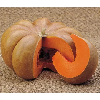 Sütőtök Musquee De Provance Alfal. - 500 szem