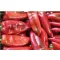 Paprika Kaprima F1 Kápia - 1000 szem