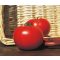 Paradicsom Florenzia F1 ZFW - 250 Szem