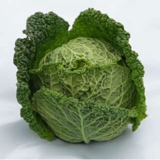 Kelkáposzta Atractum F1 Syngenta - 2500 szem