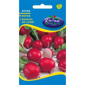 Retek Ester Rédei  - 3g