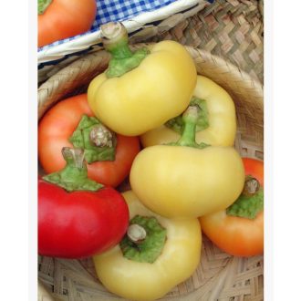 Paprika Evita SzentesiMag - 0.5g