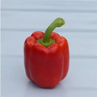 Paprika Balta F1 Syngenta - 500 szem