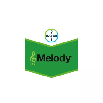 Melody Compact 49WG - 500 g