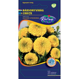 Bársonyvirág Alacsony Citromsárga Rédei  - 1g