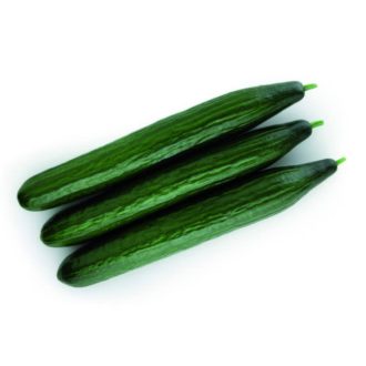 Uborka SV5047CE Kígyó Seminis - 100 Szem