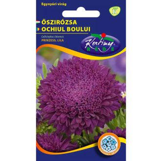 Őszirózsa Princess Virágú Lila Rédei - 1g