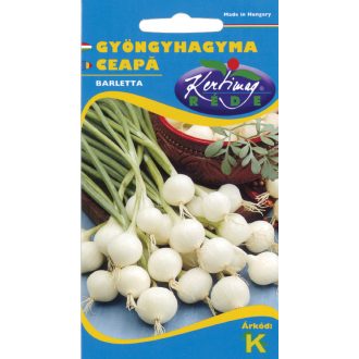 Gyöngyhagyma Barletta Rédei  - 2g