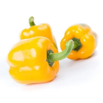 Paprika Ilanga F1 (35-205) RZ - 100 szem
