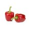 Paprika Sondela F1 RZ - 1000 szem