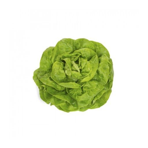 Saláta Walha RZ - 5000 szem