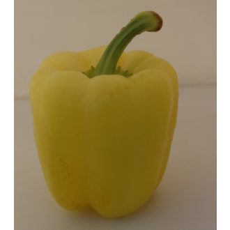 Paprika Bonca F1 Orosco - 500 szem