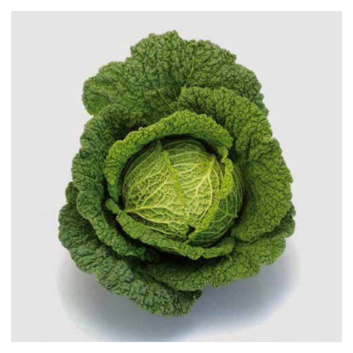 Kelkáposzta Dakota F1 Syngenta - 2500 Szem