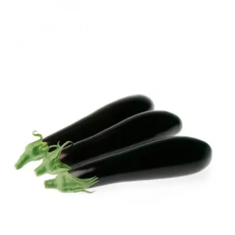 Tojásgyümölcs Longo F1 RZ - 100 szem