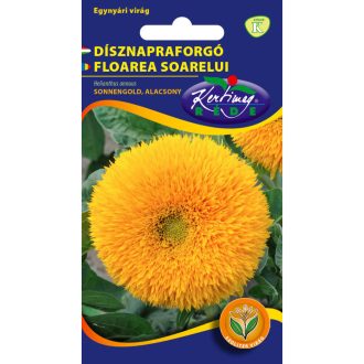 Dísznapraforgó Sonnengold Alacsony Rédei  - 2g