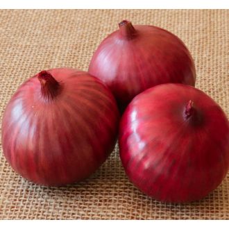 Vöröshagyma Red Glamour F1 Lila Orosco - 100.000 szem