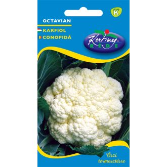Karfiol Octavian Rédei - 0.5g