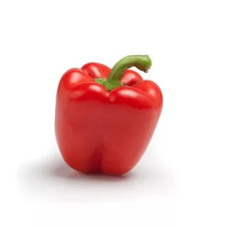Paprika Nirvin F1 (35-150) RZ - 1000 szem