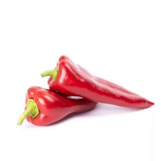 Paprika Dinamica F1 (35-522) RZ - 1000 szem