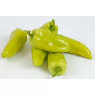 Paprika Pirouet F1 Syngenta - 500 szem