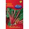 Mángold Rhubarb Chard Rédei  - 5g