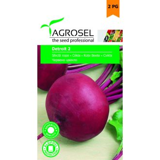 Cékla Detroit 2 Agrosel - 4g