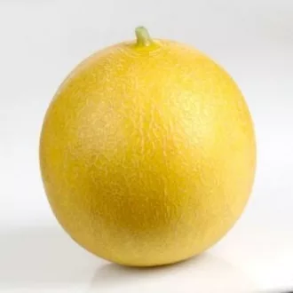 Sárgadinnye Karpatos F1 RZ - 1000 szem