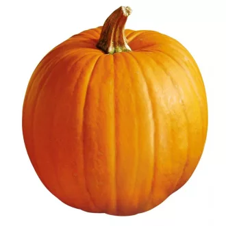   Sütőtök Aspen F1 Hakkoween (Halloween Tök) Bobby - 500 szem