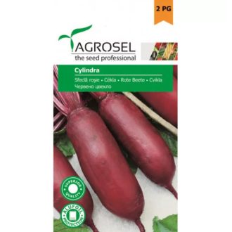 Cékla Cylindra Agrosel#2 - 5g