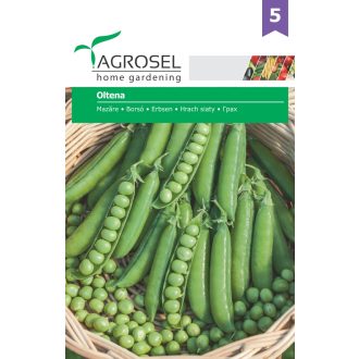 Borsó Redondo Agrosel#5 - 50g