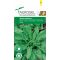 Sóska Rumex Acetosa L. Agrosel#1 - 1g