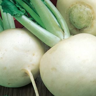 Retek Market Express F1 Sakata - 100g