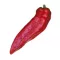 Paprika Red Bull F1 Esasem - 1000 szem