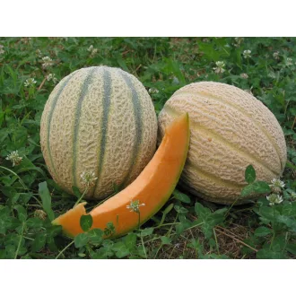 Sárgadinnye Momo F1 Esasem - 1000 szem