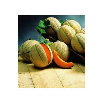 Sárgadinnye Bari F1 Sakata - 500 szem